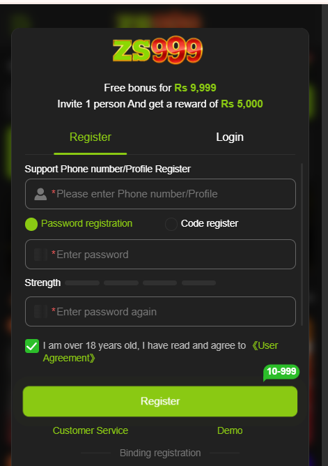 ZS999 Game