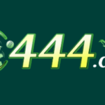 C444 Game