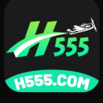 H555